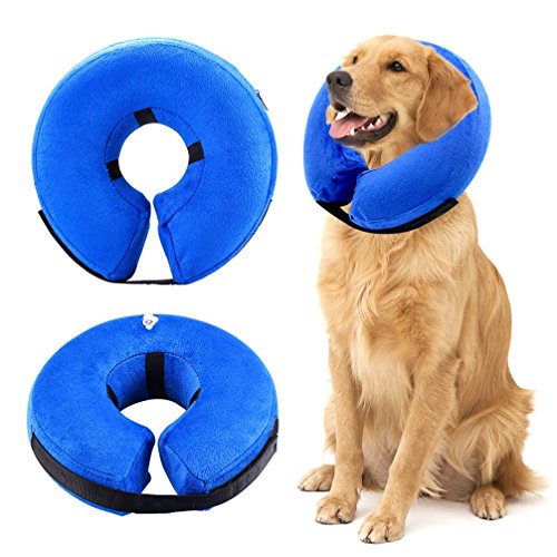 Zunea Collar Hinchable para Perros y Gatos Suave Ajustable y cómodo para la recuperación de Mascotas con Cuello en E para la cirugía y la curación, Evita Que los Perros toquen y se muevan los Gatos M