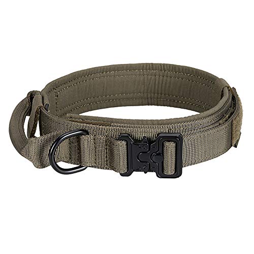 ZXCVASDF Collar de Perro Caminar Cadena del Perro Grande y Mediano tamaño Collar de Perros Corgi Animal alemán Cría de Mascotas Accesorios de Doble Grueso cómoda y Durable,XL